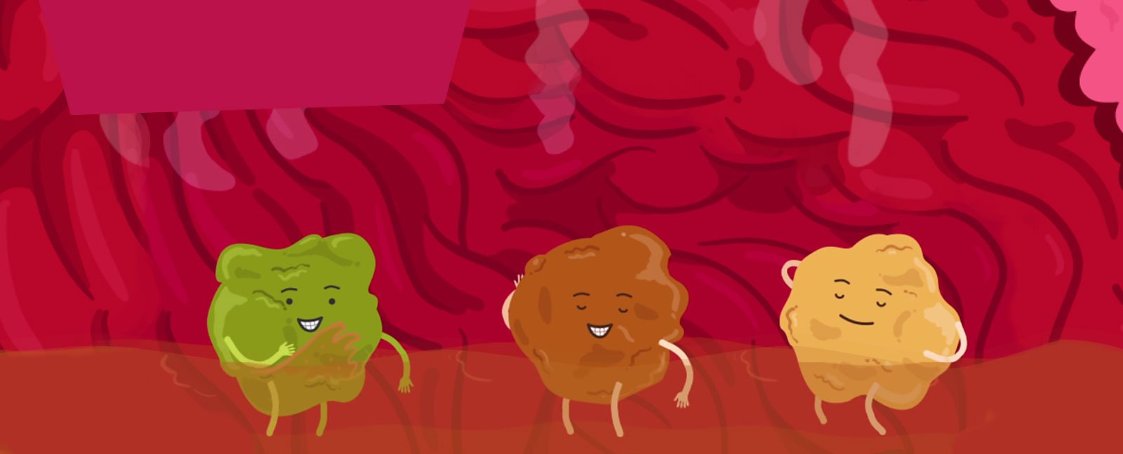 BBC Bitesize What happens in your stomach?