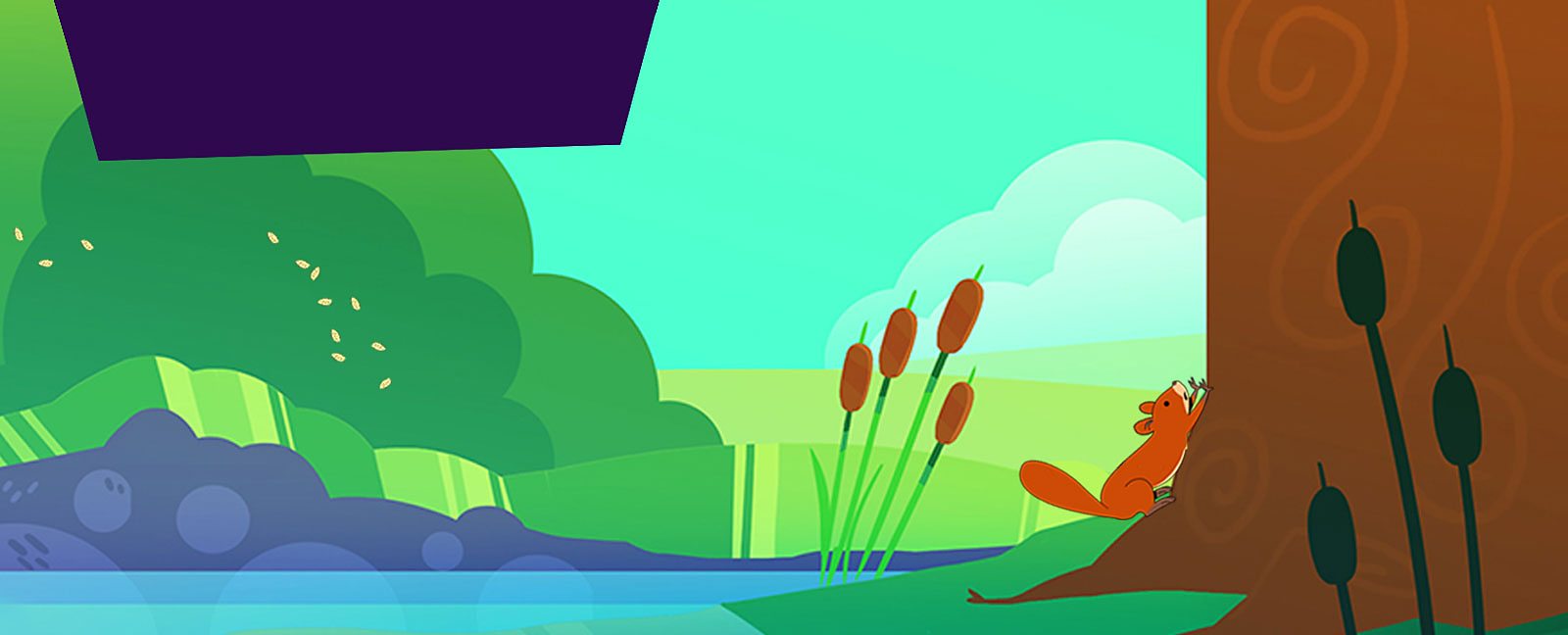 BBC Bitesize How do plants spread their seeds?