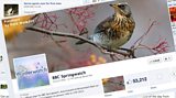 Join us on Facebook & Twitter