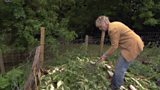 Compost