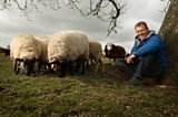 Adam and the stubborn rams