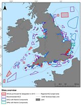 Marine Conservation Zones