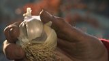 Growing garlic