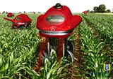 Robots swarming across our fields- is this the future of farming?