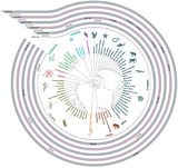 FREE Tree of Life poster