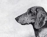 THING ABOUT ME :: WOODEN DOG