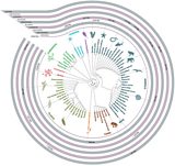 FREE Tree of Life poster