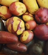 Potatoes
