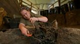 Uncovering the secrets of Ice Age giants