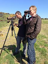 Seabirds under threat