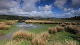 Explore UK wildlife