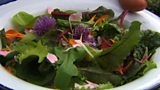 Edible flowers