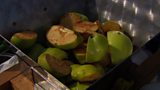 Apple pressing