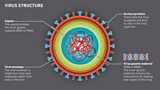 Science across the BBC