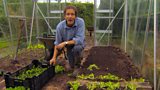 Using your greenhouse in autumn