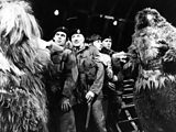 THE YETI :: JOHN LEVENE