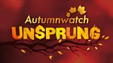 Autumnwatch Unsprung Quiz