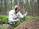 Radio Times article about Chris Watson recording a solitary ant.