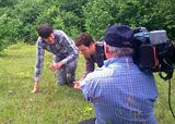 Matt and Julia’s butterfly search