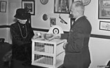 Spy pigeon secrets of MI5