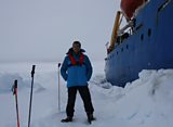 Stranded!
