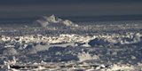 Icescape
