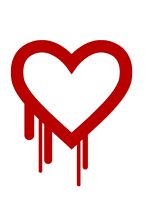 The Heartbleed Bug