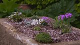 Monty’s alpine trough