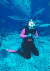 Miranda's quest for the Blue Shark