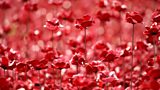 The Why Factor: Memorialisation