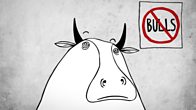 Bull In A China Shop
