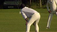 Reg Explains Cricket
