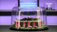Mega Sushi Fun Guess: Answers