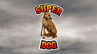 Super Dog