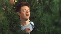 Nick Harper's Tree Amigos