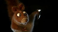 Squirrels On Crack