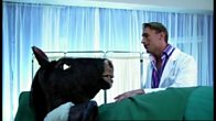Doctor Christian Has Sexy Horse Syndrome