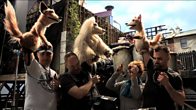 Performing the Puppets
