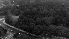 A City Crowned with Green