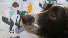 BabyHUB – Stumpydog Innovations