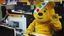 Pudsey at his desk 2