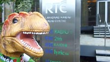 T Rex Ó Saurus