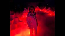 Three Exhibitions: Judy Chicago