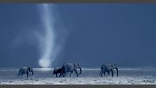 In pictures: Africa
