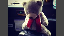 Greg In Glasgow - The Adventures of Ryan (Bannatyne) Bear