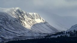 Image for 1976
