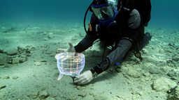 Image for City Beneath the Waves: Pavlopetri