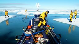 Image for Rowing the Arctic