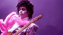 Image for Prince: A Purple Reign
