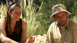 Image for Neanderthal